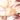 �L�~�f�L�̑��|�X�^�[�C